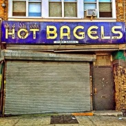 where you can find real bagels